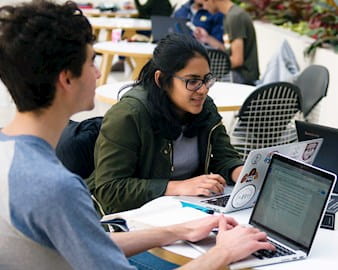 Group of Chicago Booth students working at a table in the Harper Center winter garden